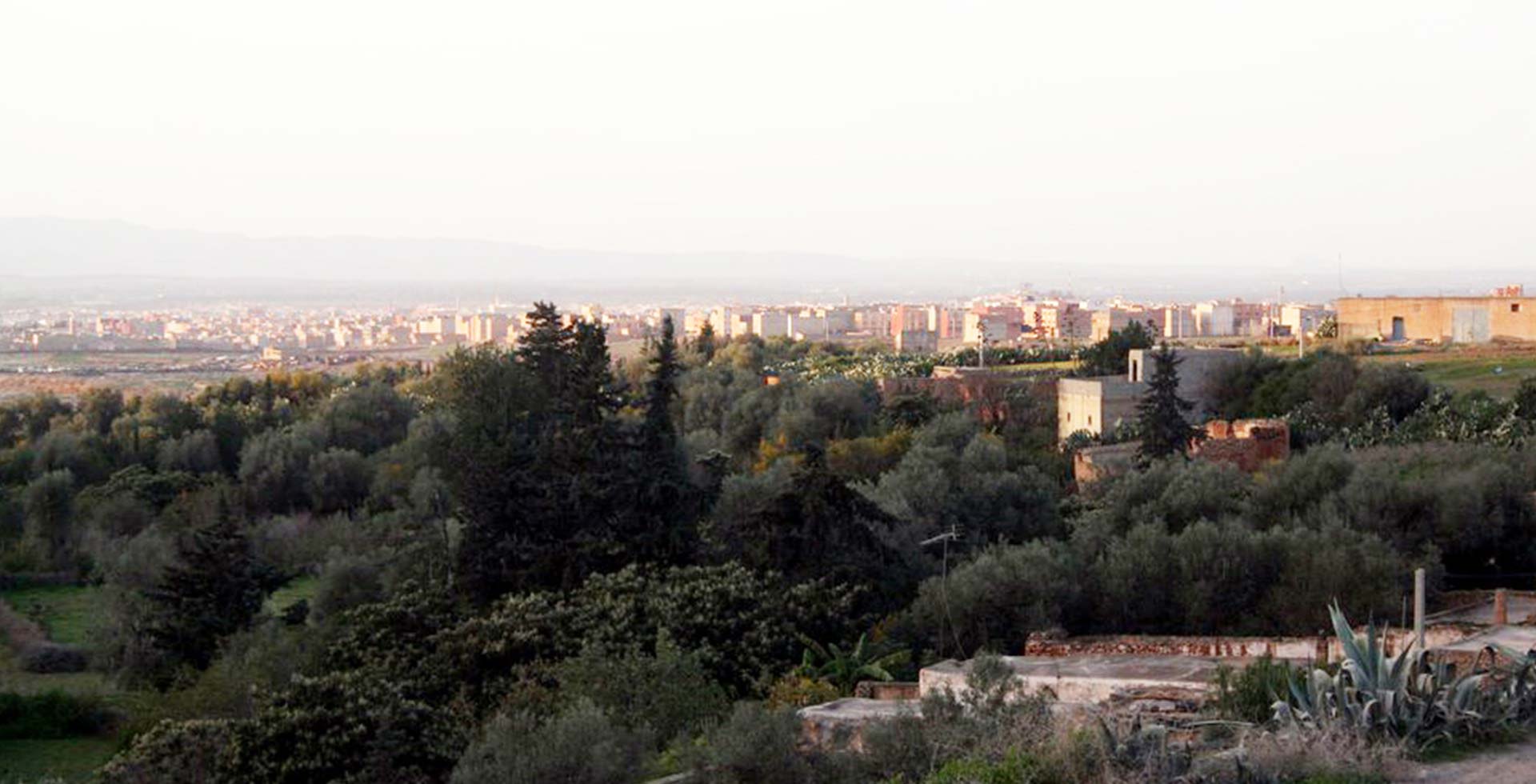 berkane