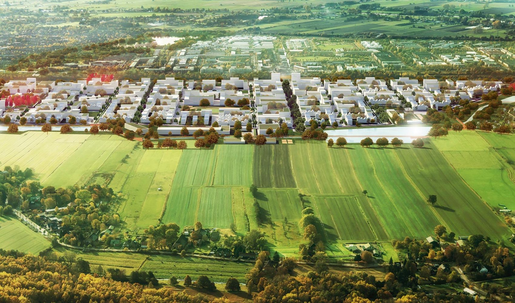 01 PERSPEKTIVE copia