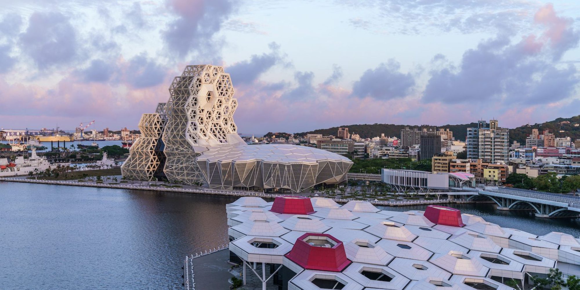 AAA08249 編輯 copia