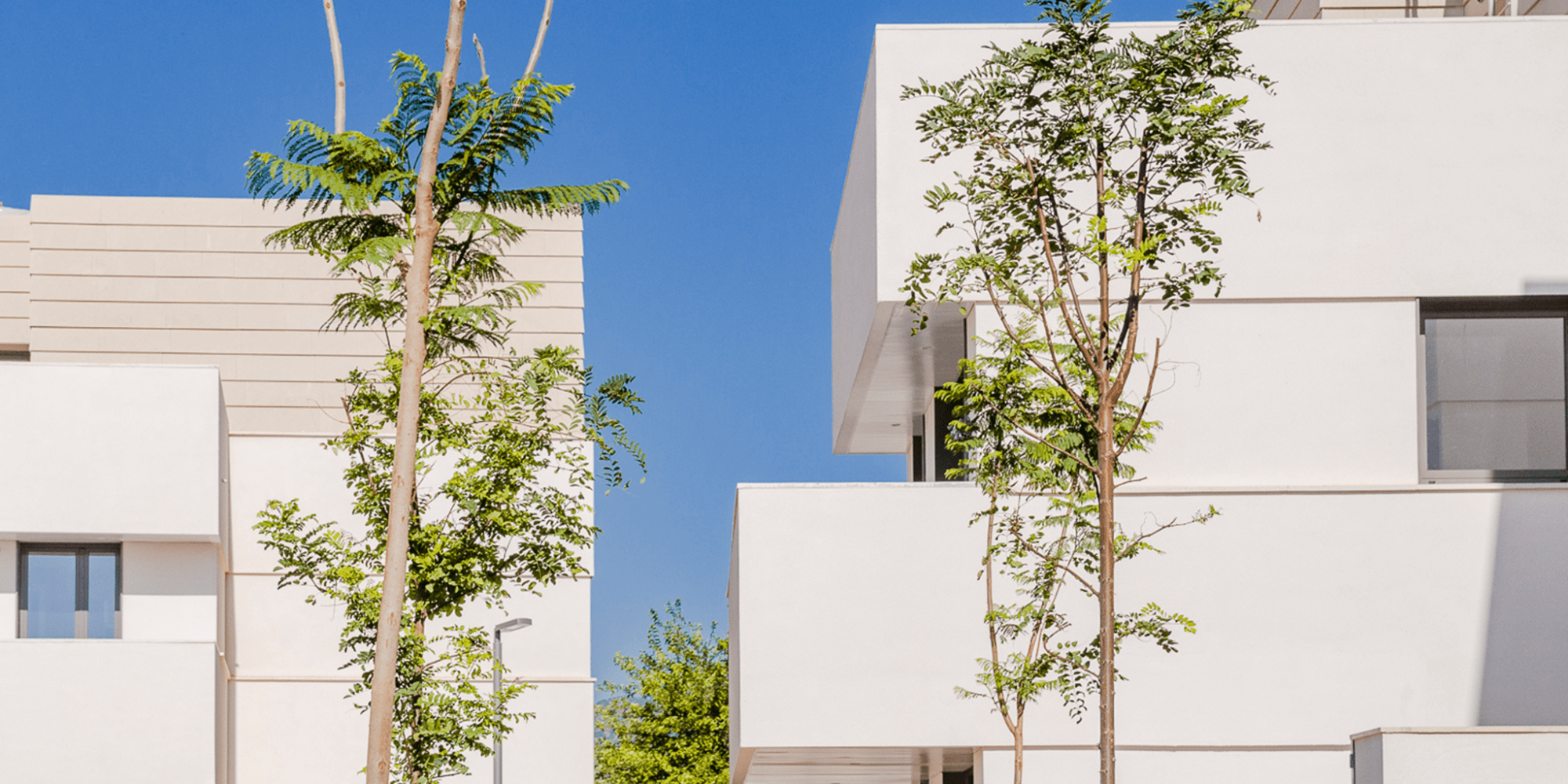 azahar homes 74 viviendas 4